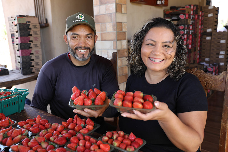 Crédito Rural transforma agricultura familiar em Planaltina