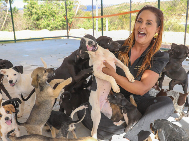 Albergue temporário transforma a vida de cães resgatados