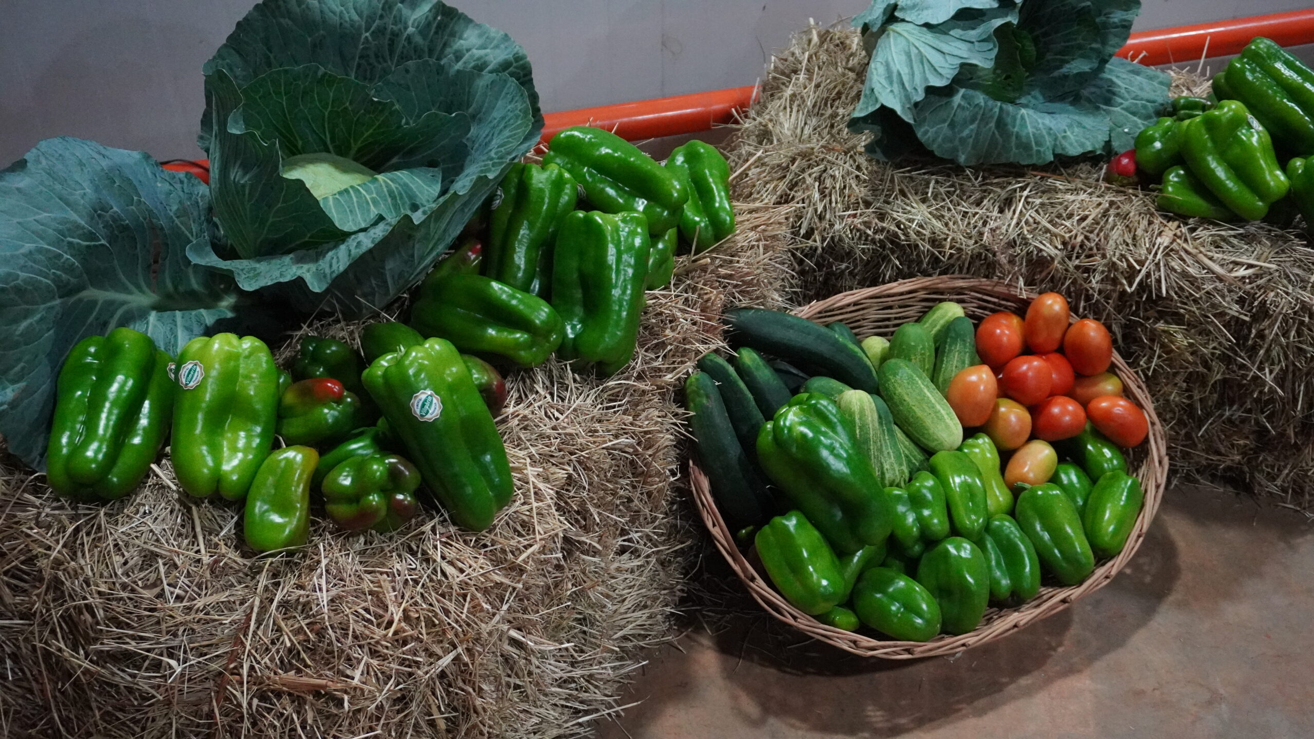 Semana especial celebra 25 anos de cooperativismo em Planaltina