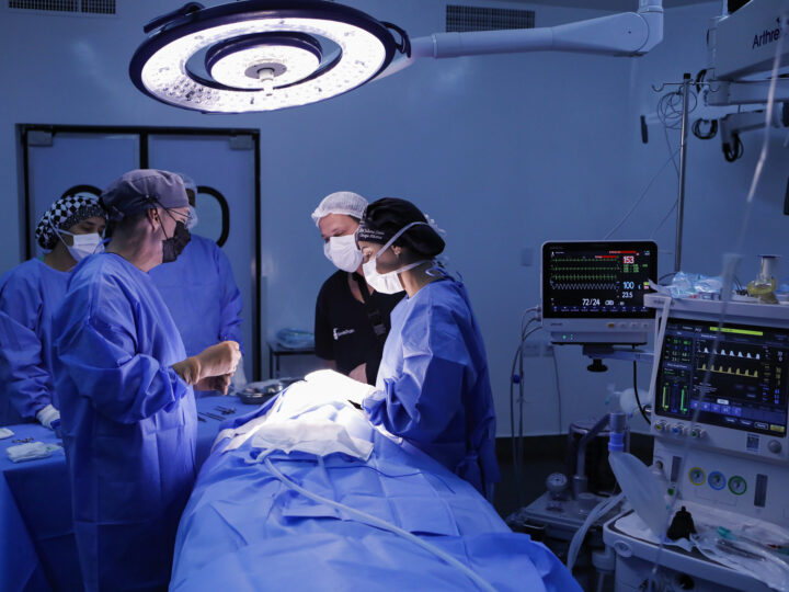 Aumenta doações de órgãos e córneas em todo DF