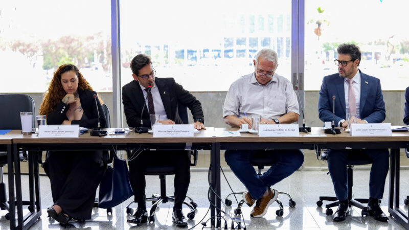 Reunião de PPPs do GDF analisa projetos-chave