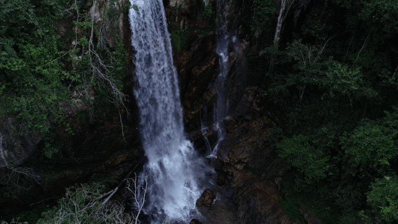 Parque do Tororó tem plano de manejo aprovado para a proteção do local