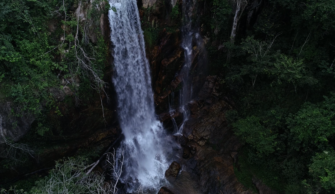 Parque do Tororó tem plano de manejo aprovado para a proteção do local