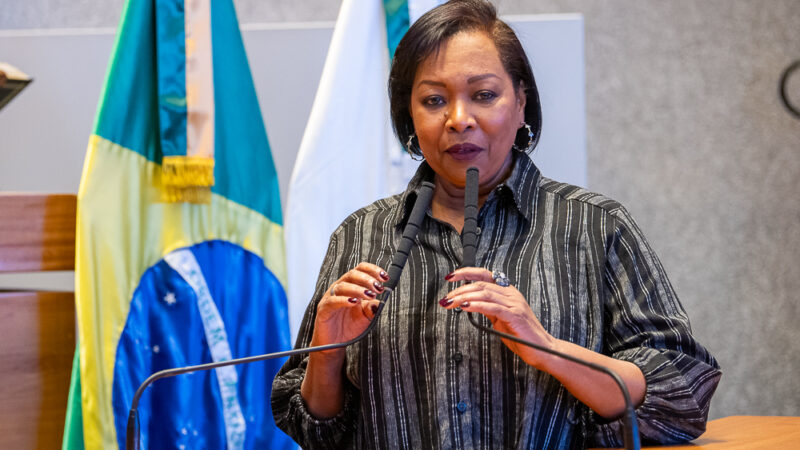 Distrito Federal pode criar comitê contra crimes cibernéticos