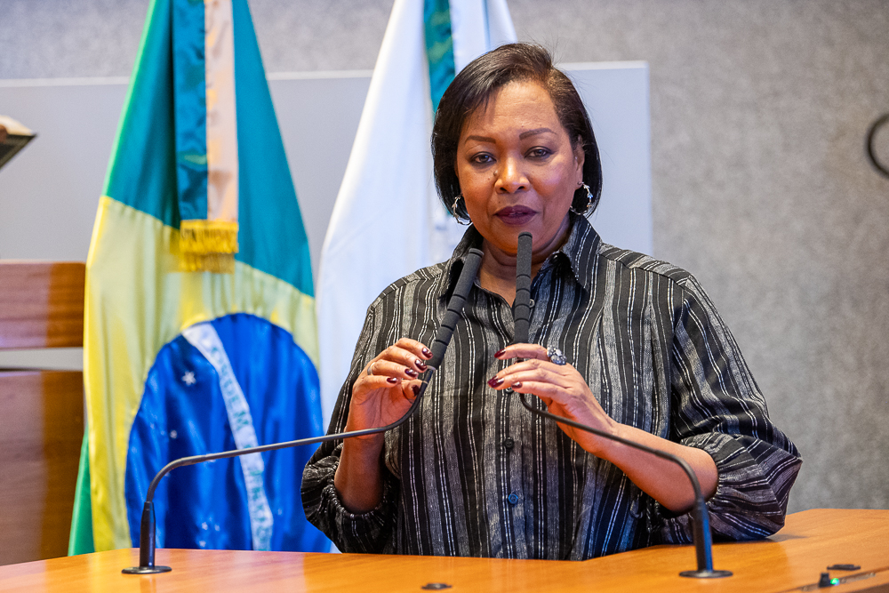 Distrito Federal pode criar comitê contra crimes cibernéticos