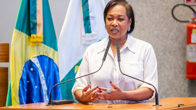 Deputada indica construção de calçadas na 713 a 914 Sul