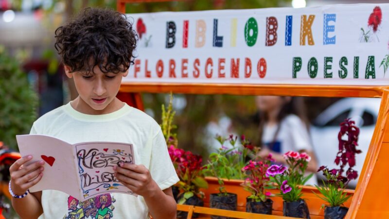 Programação gratuita com zoológico, cinema e mais!