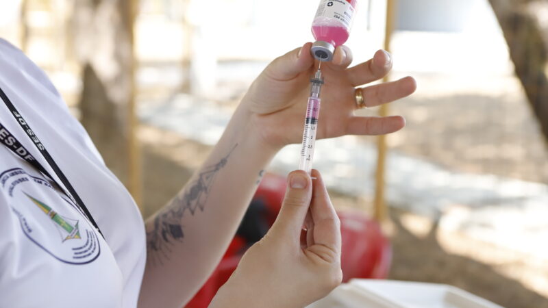 Vacinação Antirrábica tem mais de 100 postos neste sábado