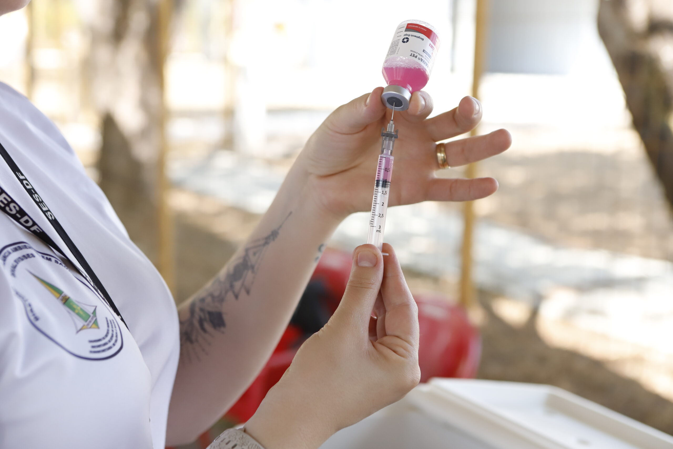 Vacinação Antirrábica tem mais de 100 postos neste sábado