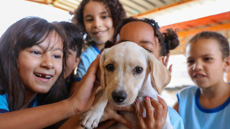 Escola do DF adota cachorrinha Milla e ensina respeito aos alunos