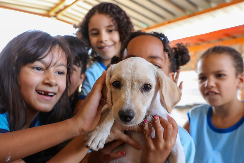 Escola do DF adota cachorrinha Milla e ensina respeito aos alunos