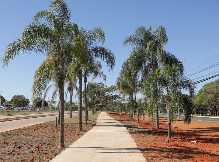 DF tem 2ª maior malha cicloviária do brasil e quer chegar a mil KM
