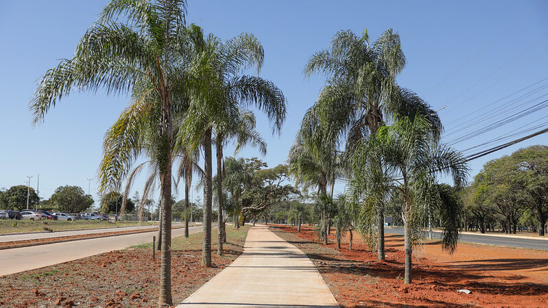 DF tem 2ª maior malha cicloviária do brasil e quer chegar a mil KM