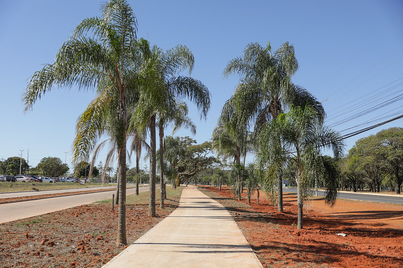 DF tem 2ª maior malha cicloviária do brasil e quer chegar a mil KM