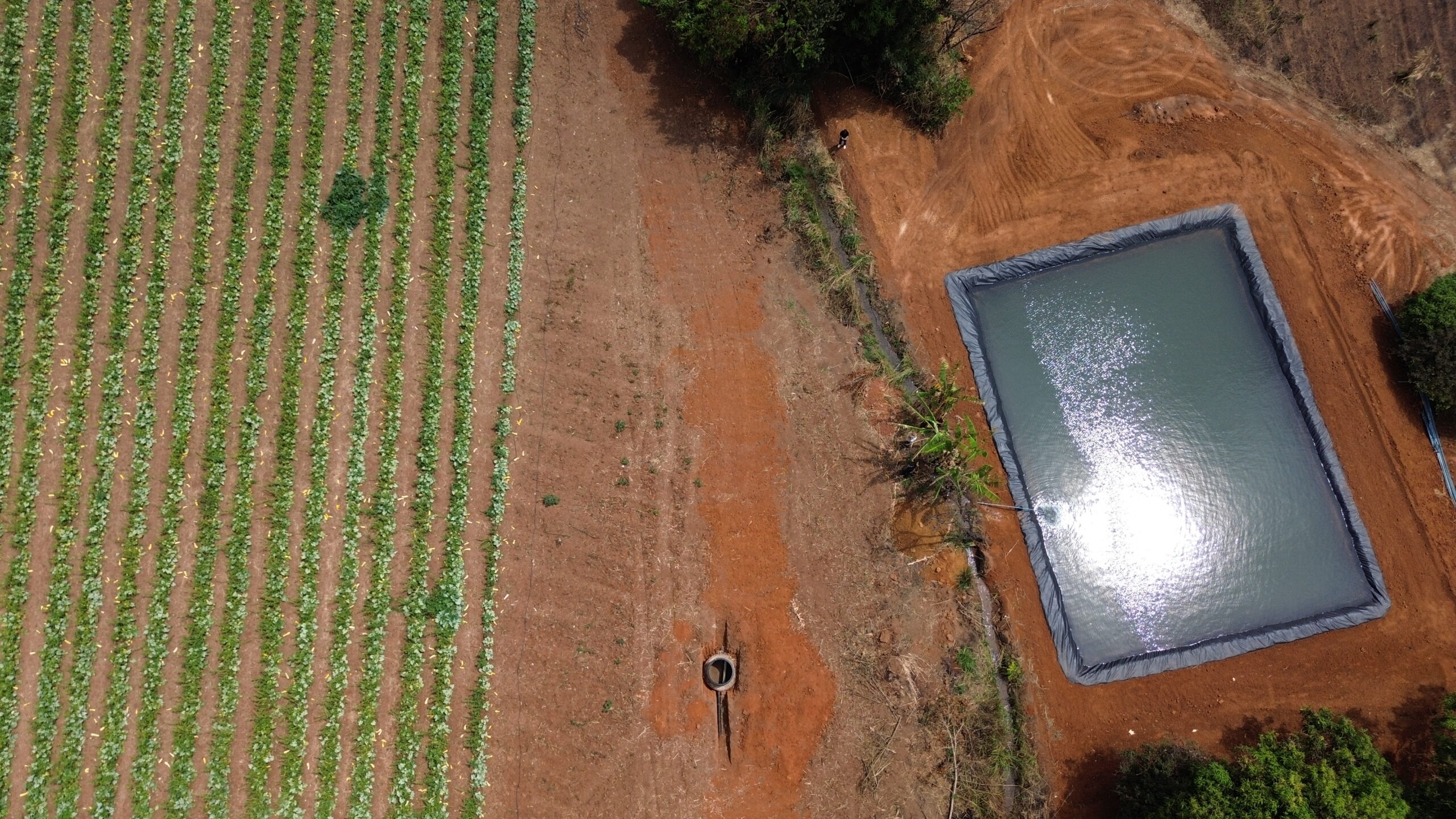 Modernização da irrigação no Rio Preto beneficia centenas de famílias