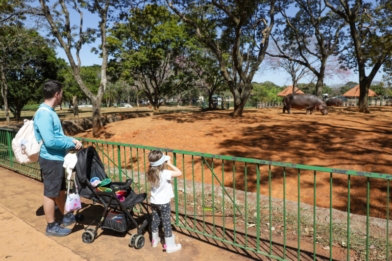 Visita aos animais no Zoológico é uma boa pedida do fim de semana | Foto: Geovana Albuquerque/Agência Brasília