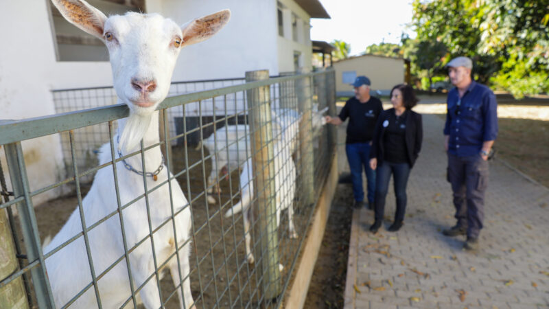 Emater-DF prorroga inscrições para catálogo de turismo e produtos rurais