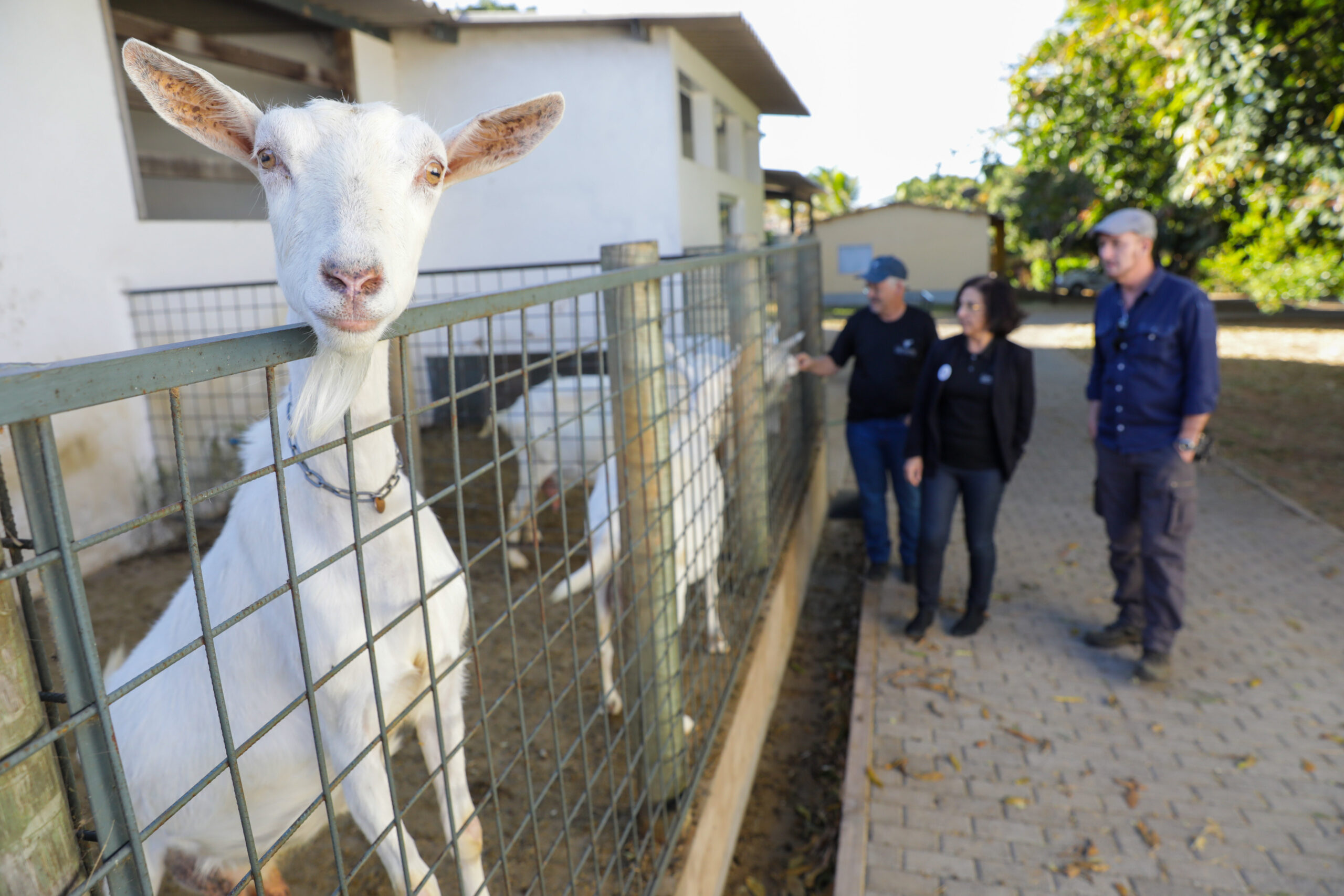 Emater-DF prorroga inscrições para catálogo de turismo e produtos rurais