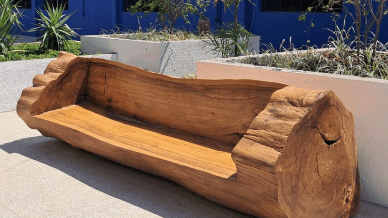 Servidores da Novacap transformam troncos em peças de decoração únicas