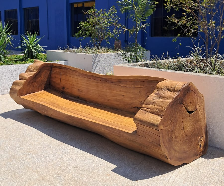 Servidores da Novacap transformam troncos em peças de decoração únicas