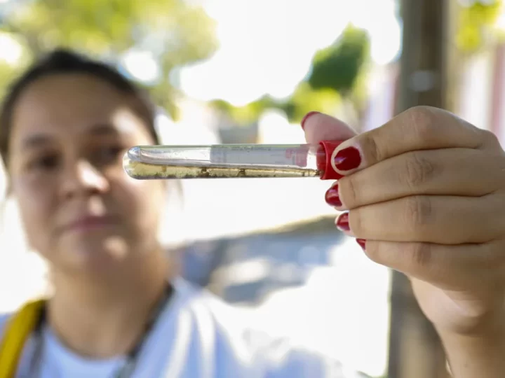 Atenção redobrada no combate ao Aedes aegypti