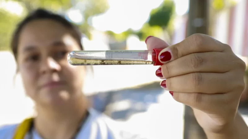 Atenção redobrada no combate ao Aedes aegypti