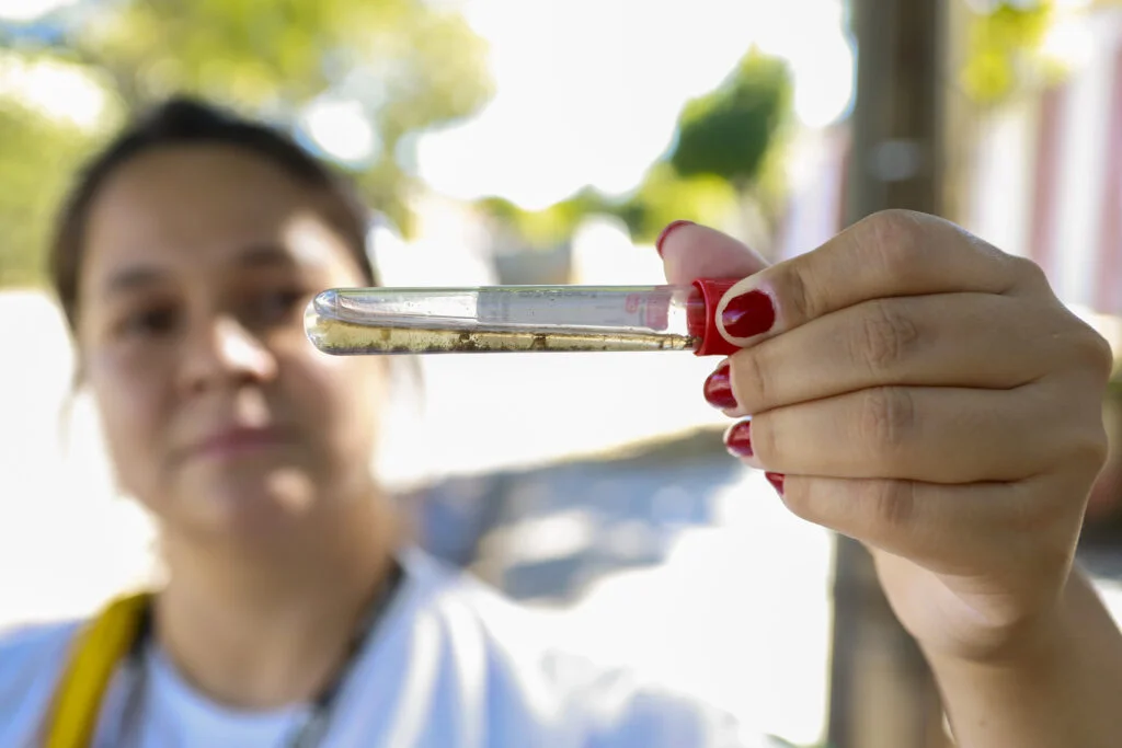 Atenção redobrada no combate ao Aedes aegypti