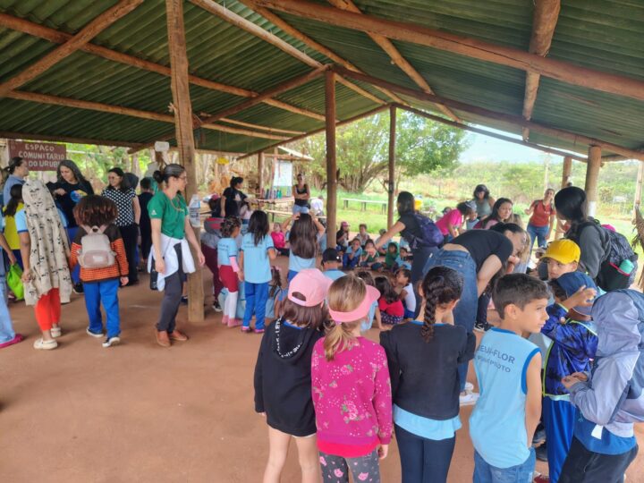 300 mudas plantadas na APA do Lago Paranoá