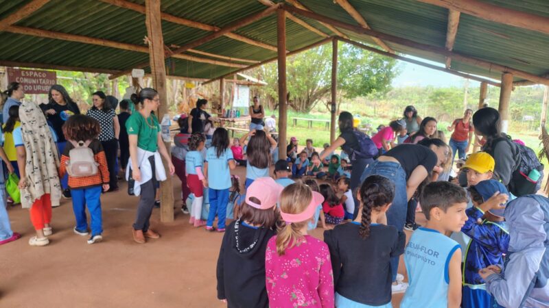 300 mudas plantadas na APA do Lago Paranoá