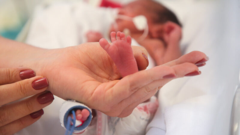 Entenda a campanha que salva bebês prematuros no DF