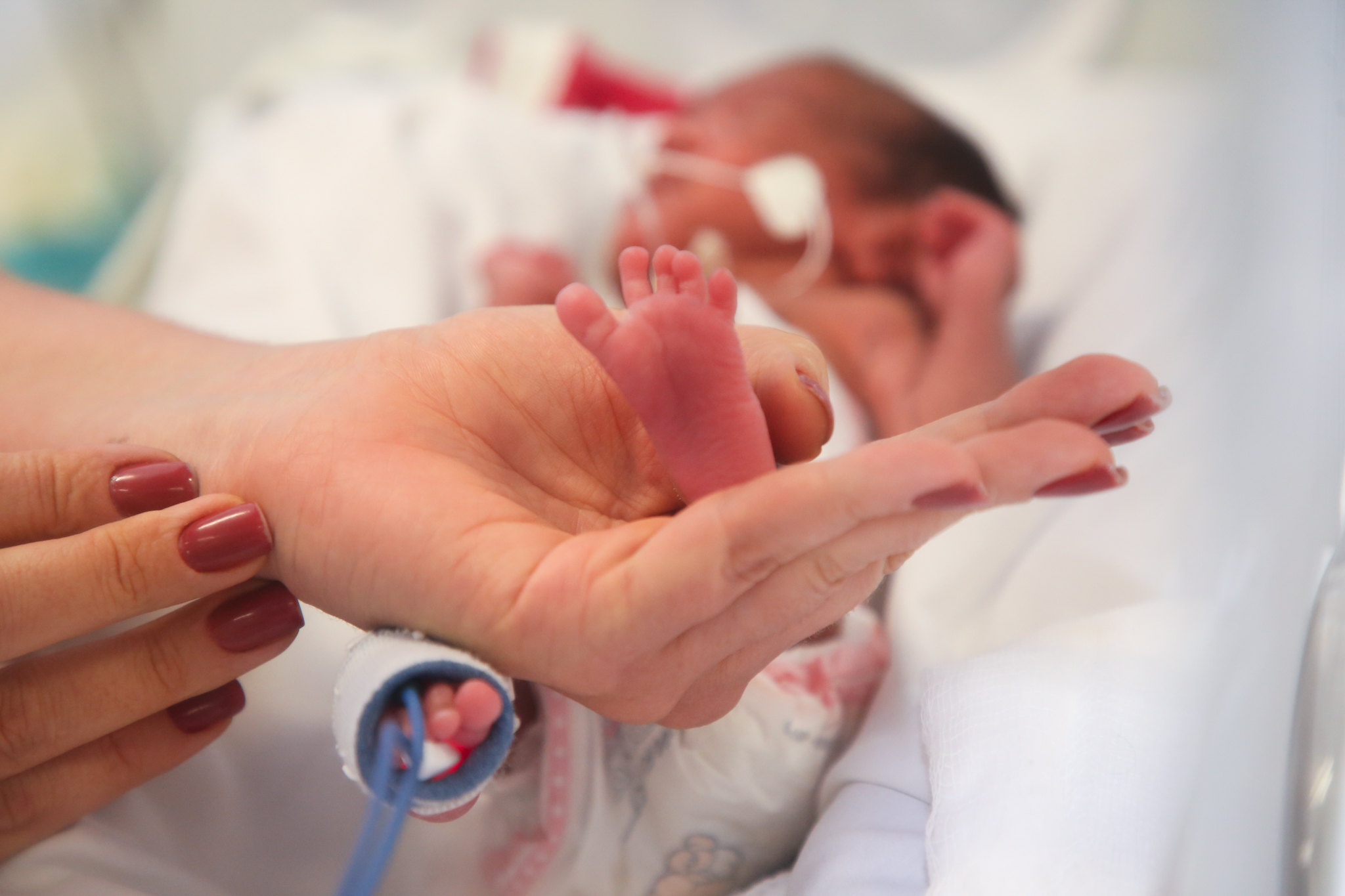 Entenda a campanha que salva bebês prematuros no DF