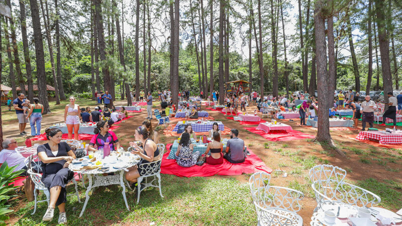Guia completo do feriado da Consciência Negra no DF