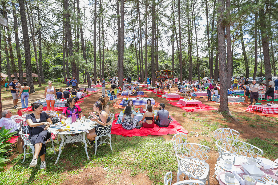 Guia completo do feriado da Consciência Negra no DF