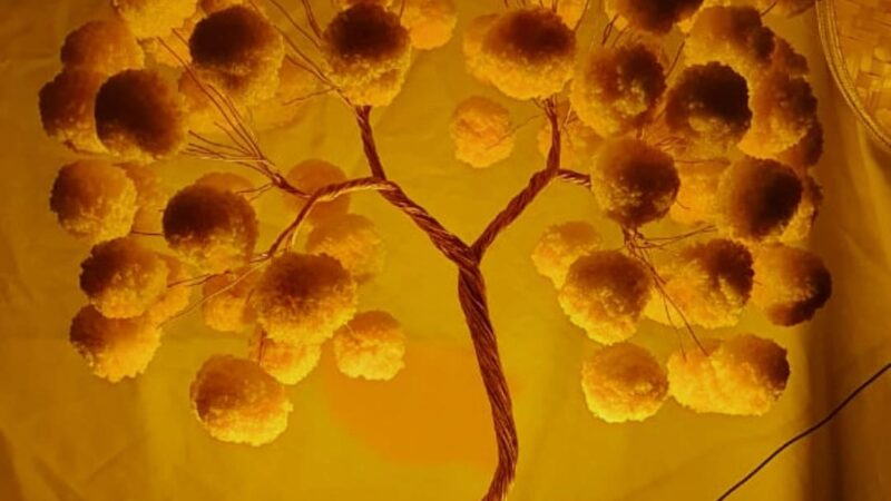 20º Salão do Artesanato Chega ao Parque da Cidade