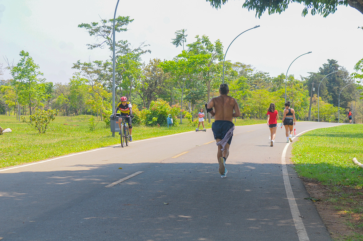 Feriadão da Proclamação da República: O que abre e fecha em Brasília