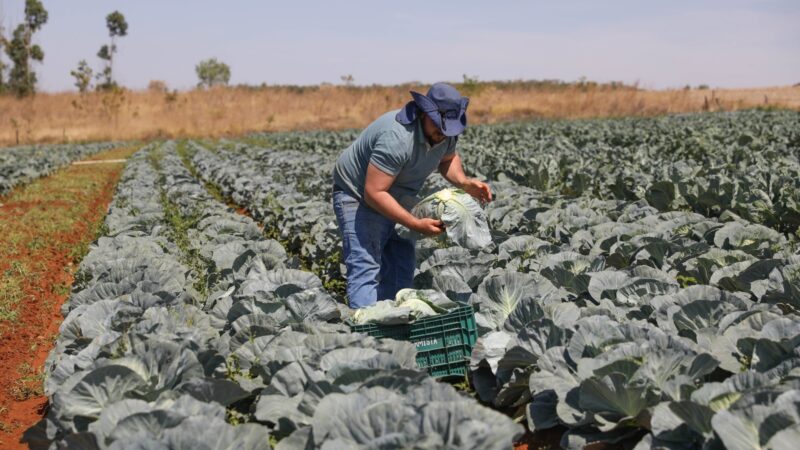 GDF Turbina Crédito para Produtores Rurais do DF!