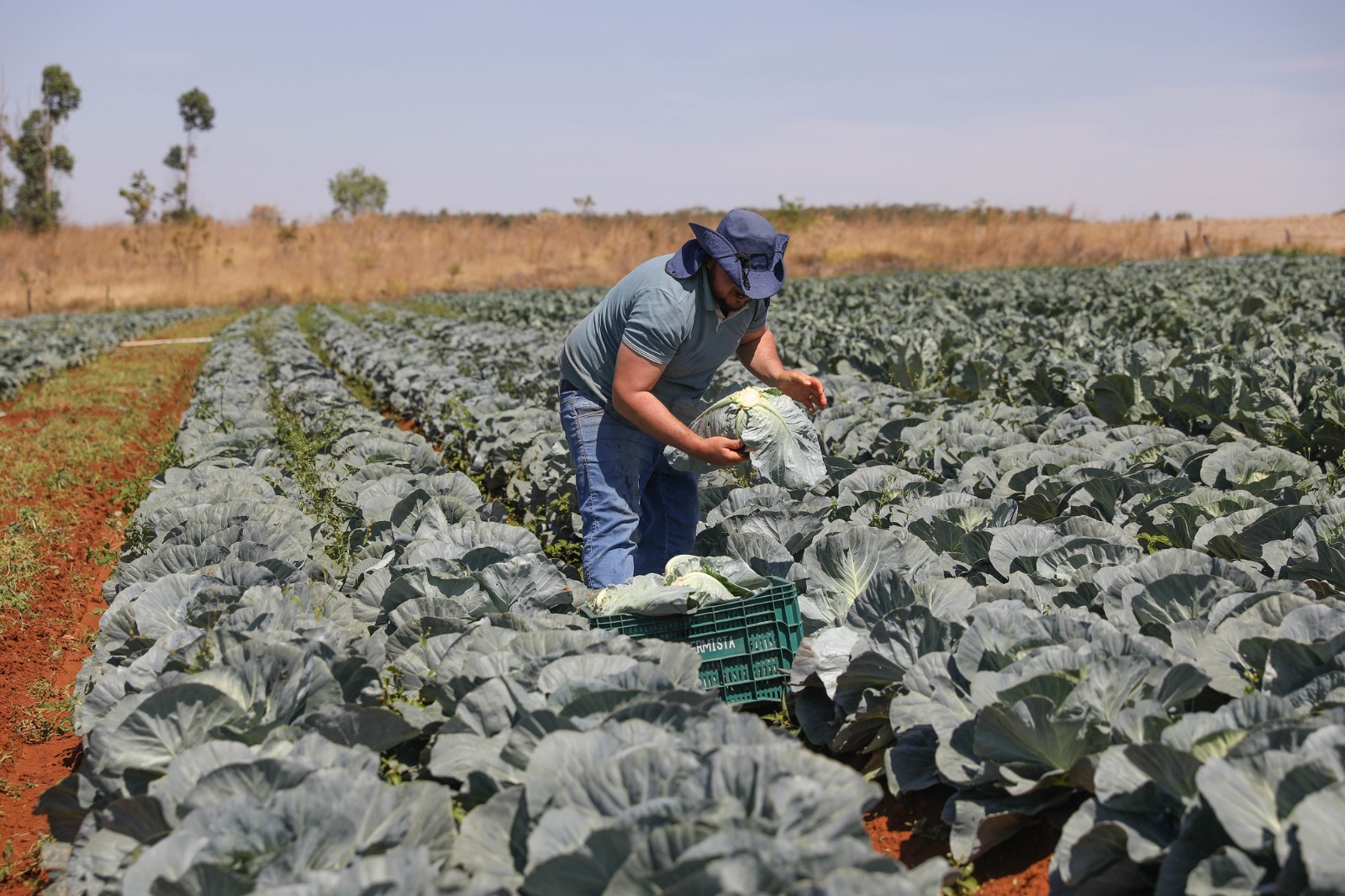 GDF Turbina Crédito para Produtores Rurais do DF!