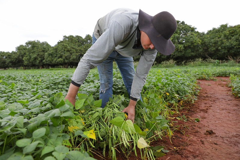 Veja as principais entregas e avanços na agricultura do DF
