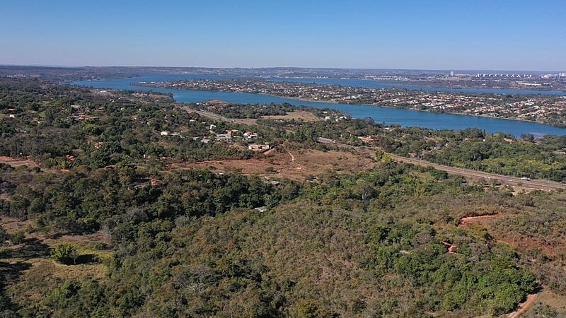 22 Mil mudas serão plantadas na Serrinha do Paranoá
