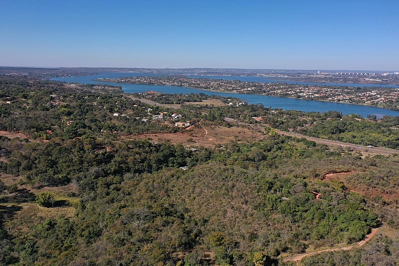22 Mil mudas serão plantadas na Serrinha do Paranoá