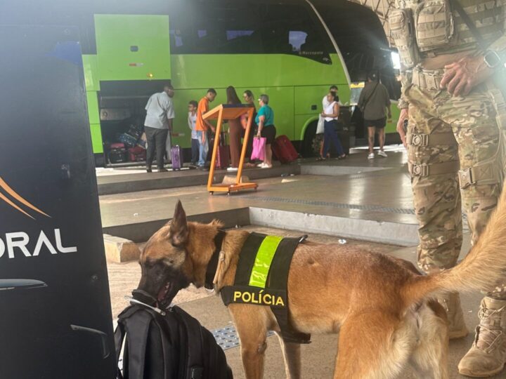 Cães farejadores reforçam a segurança nas rodoviárias do Distrito Federal
