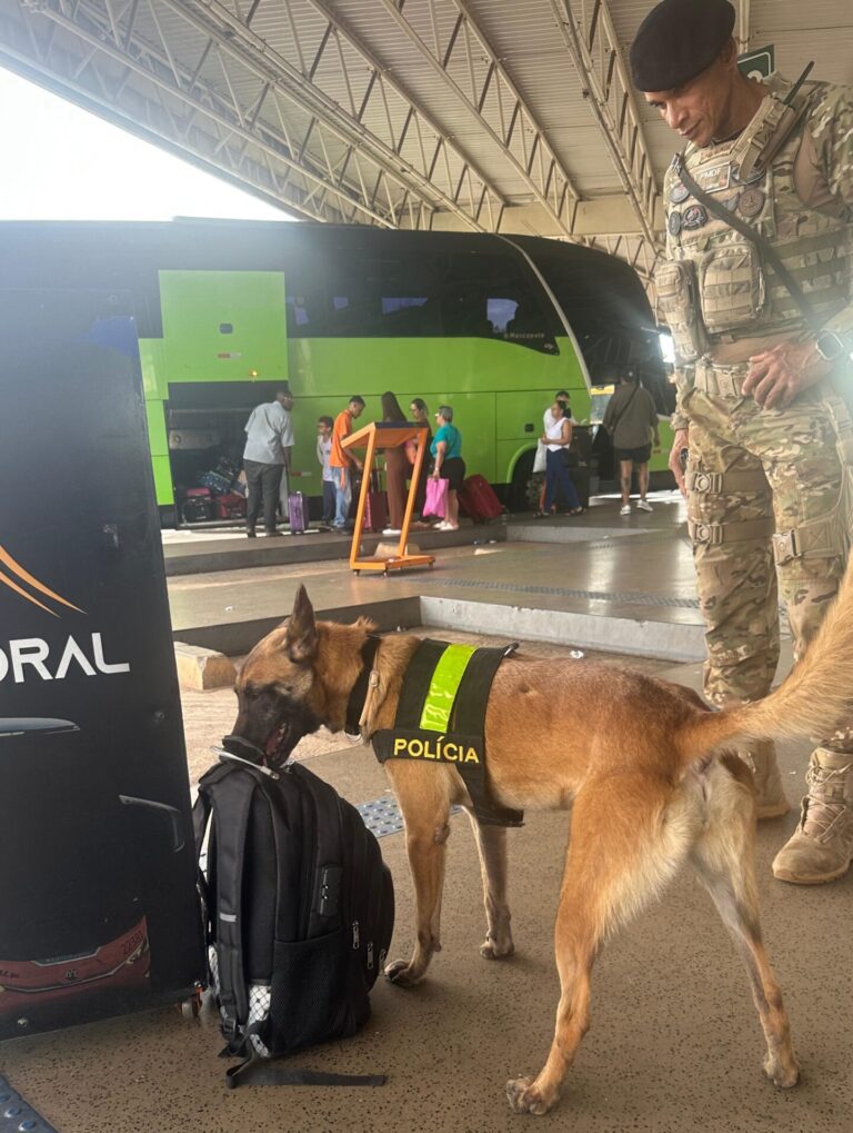 Cães especialmente treinados fazem parte da equipe da PMDF que ajuda a garantr a segurança da população | Foto: Divulgação/PMDF