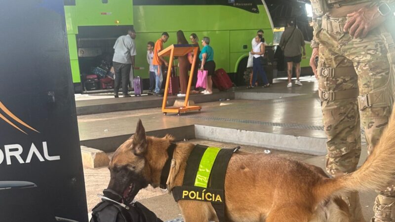 Cães farejadores reforçam a segurança nas rodoviárias do Distrito Federal