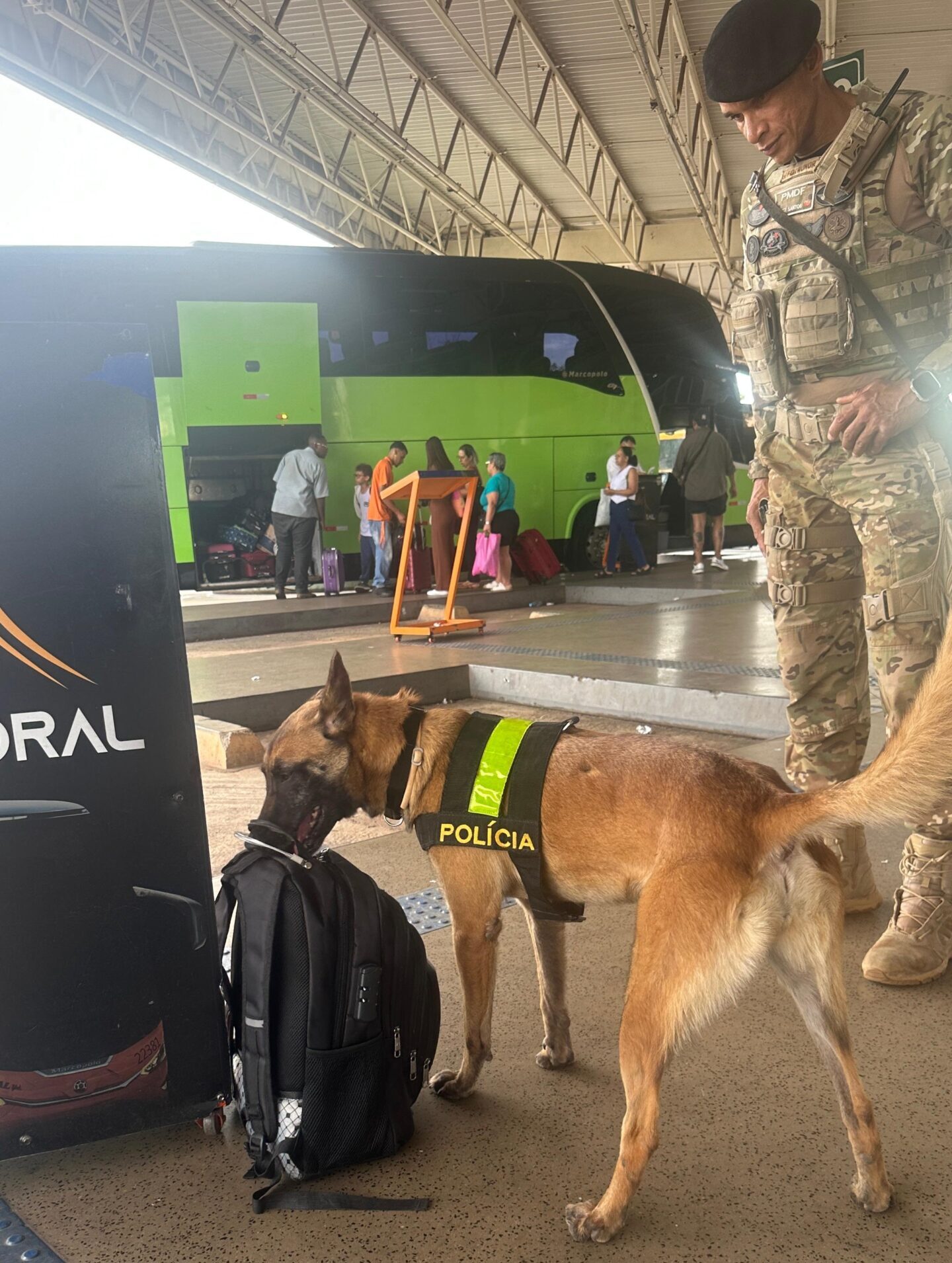 Cães farejadores reforçam a segurança nas rodoviárias do Distrito Federal