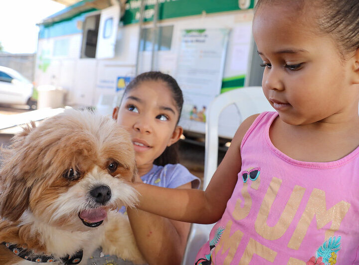 Saiba como conseguir atendimento veterinário gratuito para seu pet