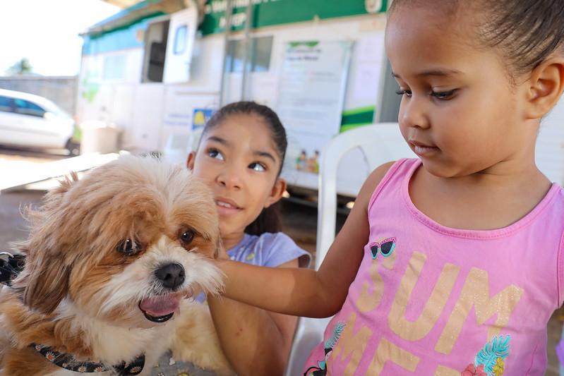 Saiba como conseguir atendimento veterinário gratuito para seu pet
