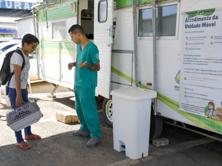 Itapoã recebe atendimento veterinário gratuito para cães e gatos