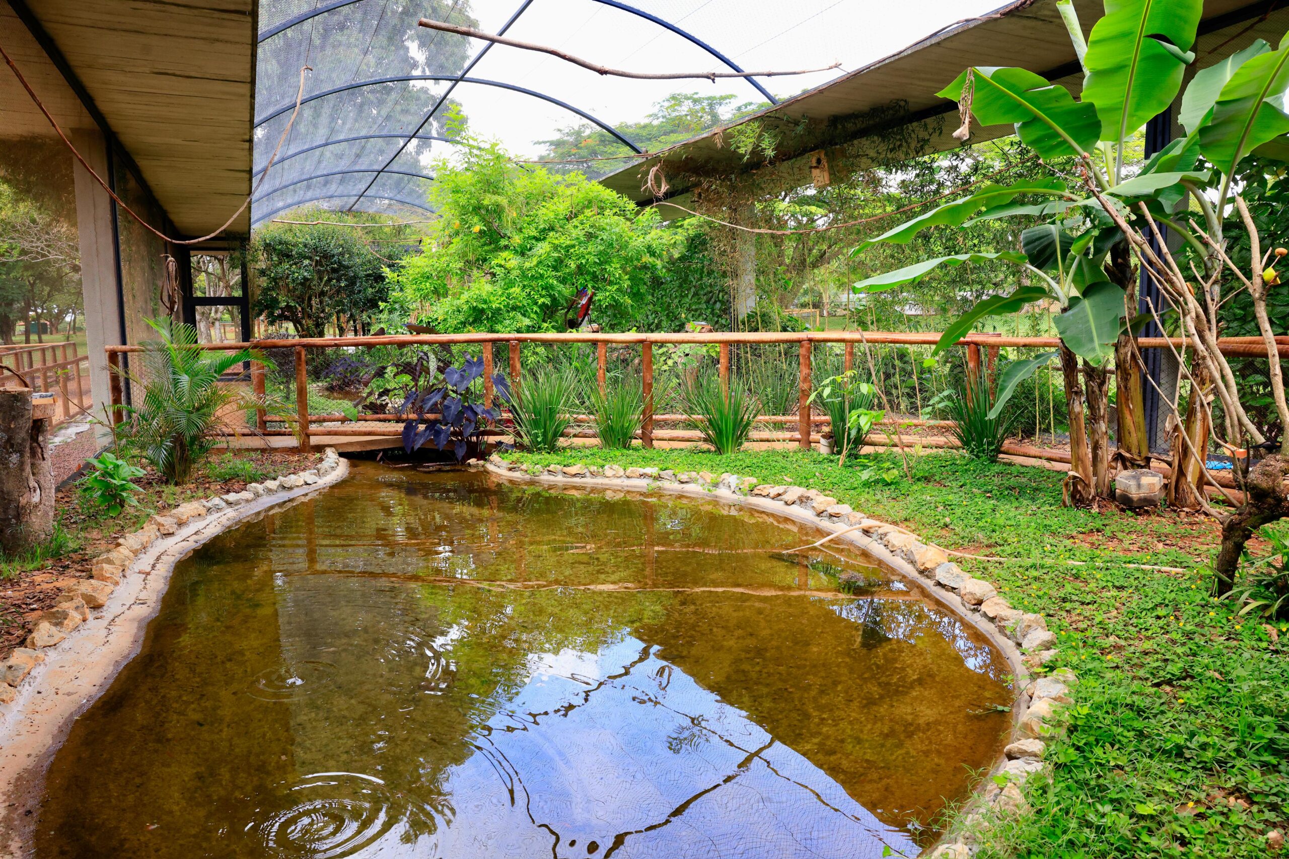 Zoológico de Brasília faz festa com entrada grátis