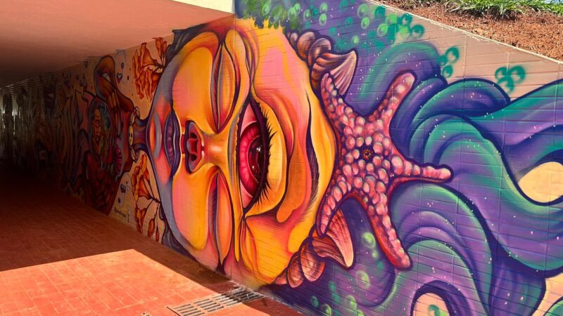 Passagem subterrânea da 103/104 norte ganha novo visual