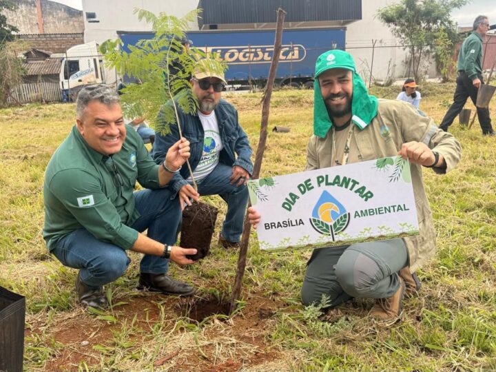 DF reduz desmatamento em 95% e vira referência na proteção do Cerrado